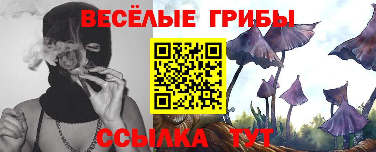 Псилоцибиновые грибы MAGIC MUSHROOMS Кыштым