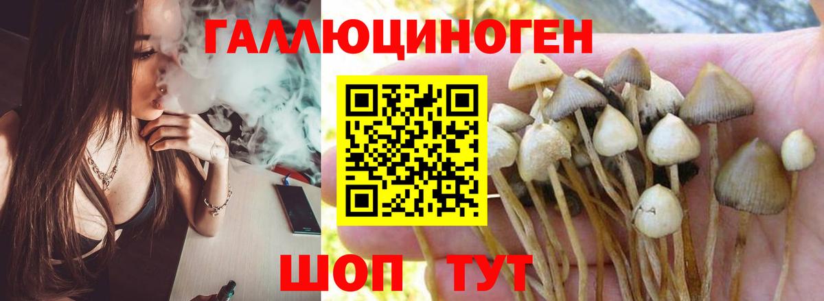 Галлюциногенные грибы Magic Shrooms  Вход с VPN  Галлюциногенные грибы GOLDEN TEACHER  Кыштым 